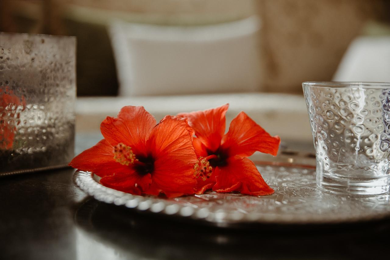 Lahebichate Le Bled Ferme Bed & Breakfast エクステリア 写真