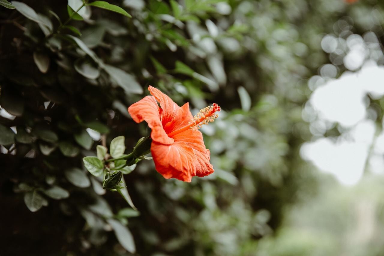 Lahebichate Le Bled Ferme Bed & Breakfast エクステリア 写真